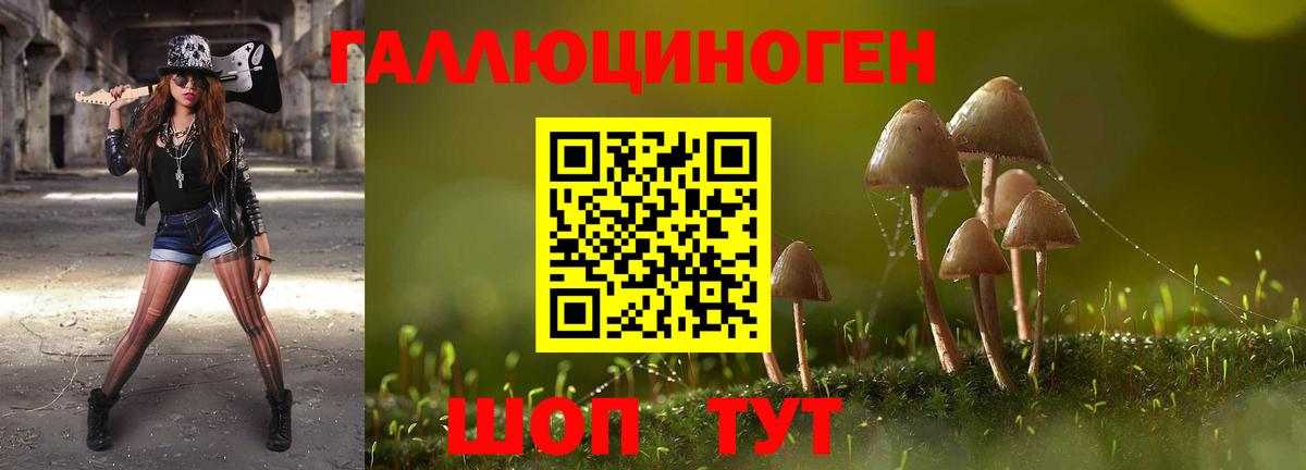 Псилоцибиновые грибы мицелий  Галлюциногенные грибы MAGIC MUSHROOMS  Ачинск  Вход с VPN 